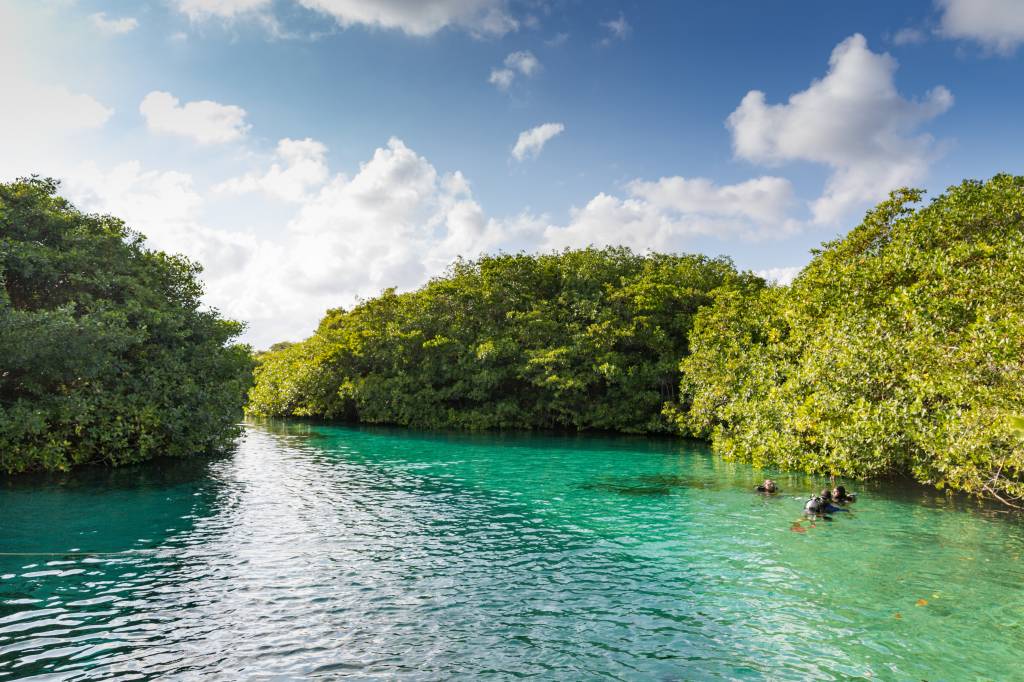 Cenote Manati, Tulum, Brasil