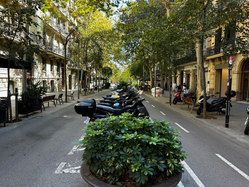 Ciclovia à direita, uma pista (pouco transitada) à esquerda: a cidade para os pedestres