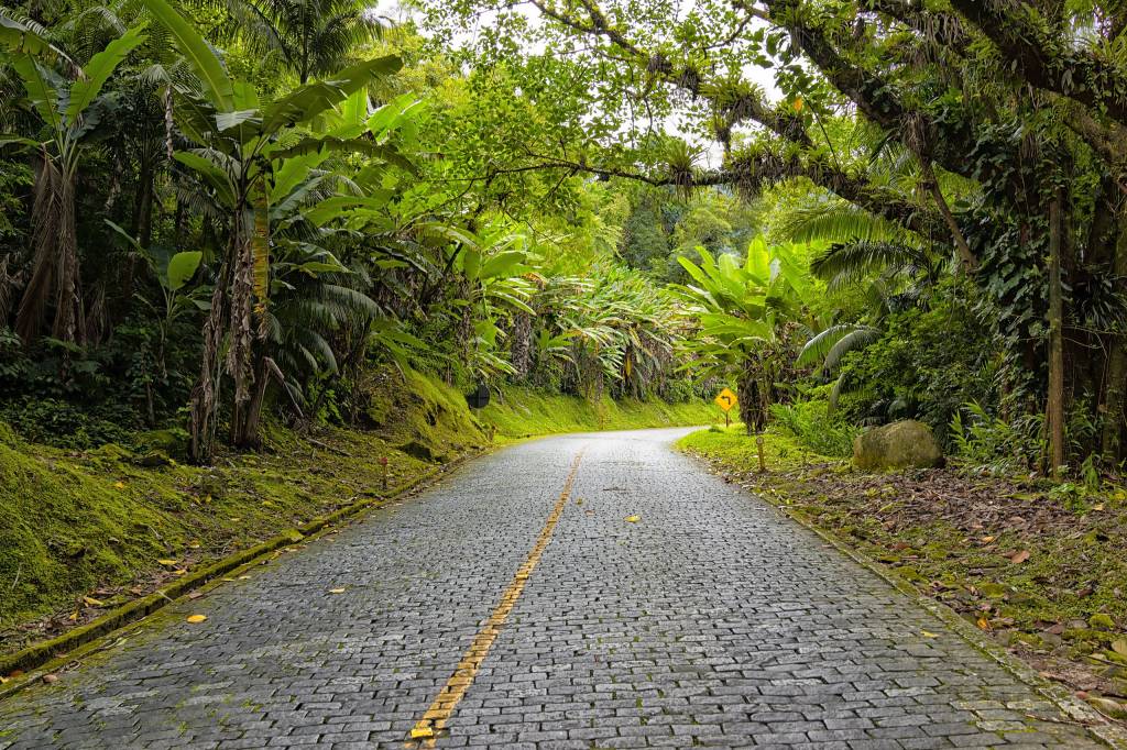 Estrada da Graciosa, Paraná, Brasil