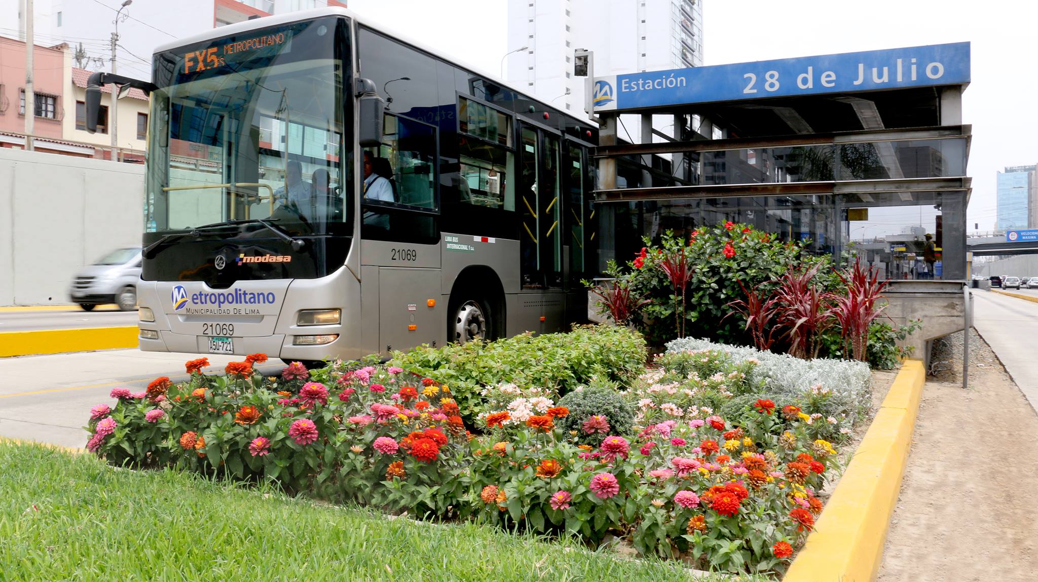 ônibus Metropolitano, Lima