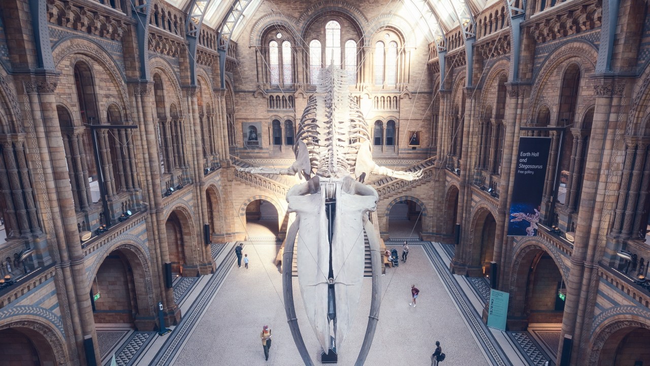 O Museu de História Natural de Londres, uma das atrações mais visitadas do Reino Unido