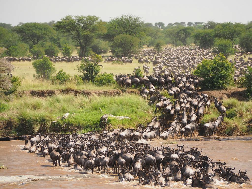 Parque Nacional do Serengeti, Tanzânia