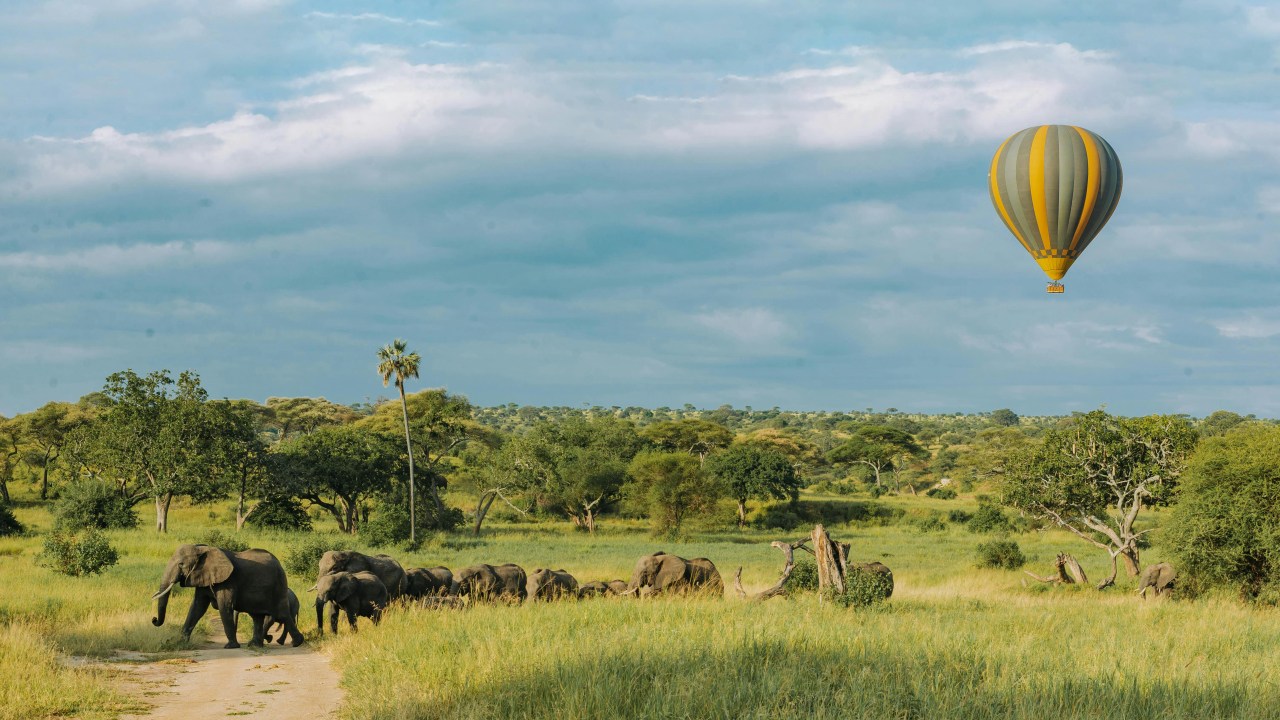 Parque Nacional do Serengeti, Tanzânia