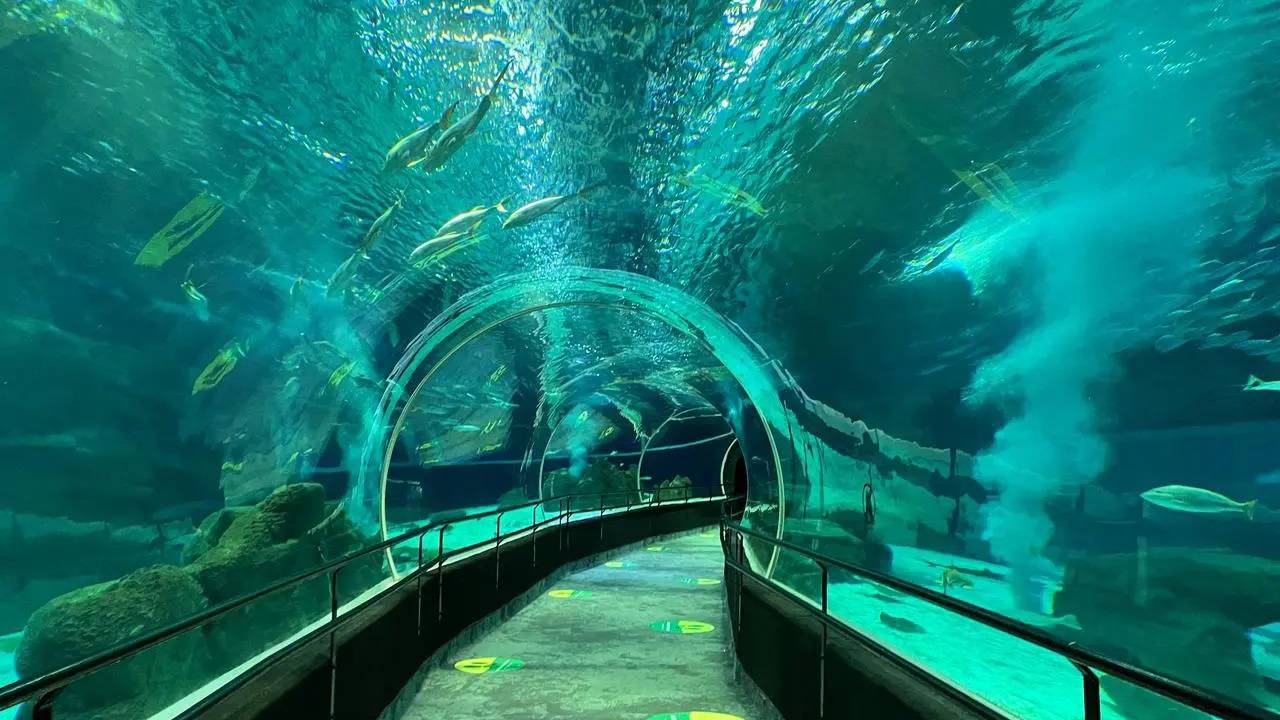 aquario-marinho-do-rio-de-janeiro-tancao-tunel-submarino