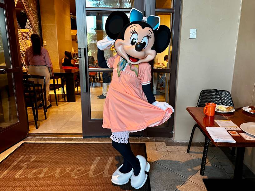 A Minnie cheia de charme também