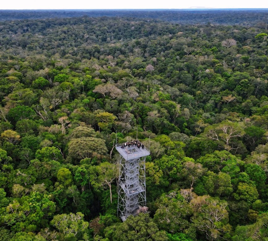 museu-da-amazonia-musa-torre-de-observacao