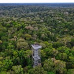 Museu da Amazônia (Musa): imersão na floresta e um fantástico mirante