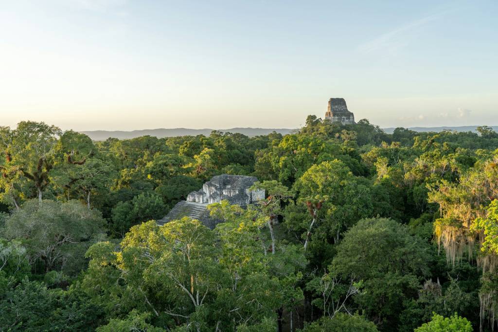 Tikal, Guatemala Tikal, Guatemala