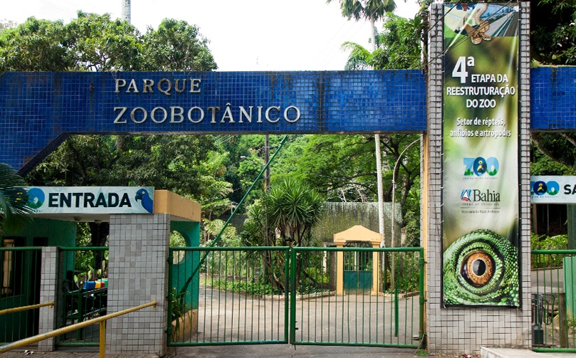 zoologico-de-salvador-parque-zoobotanico-getulio-vargas-bahia