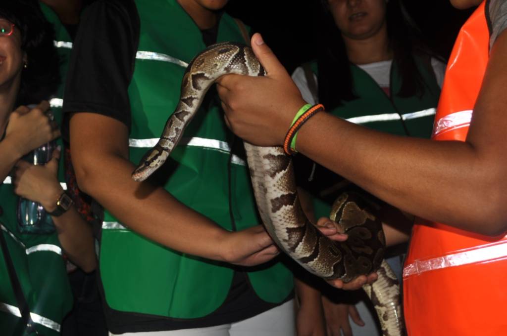zoologico-de-salvador-visita-noite-zoo-noturno zoologico-de-salvador-visita-noite-zoo-noturno