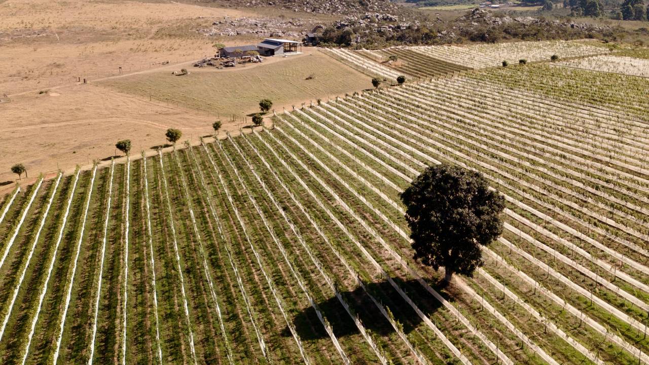 Vinícola Quinta do Campo Alegre, Diamantina, Minas Gerais