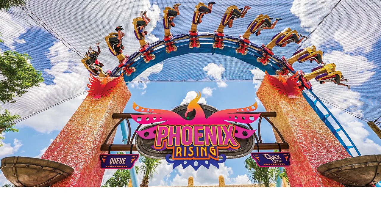 Phoenix Rising, Busch Gardens, Tampa, Flórida, Estados Unidos