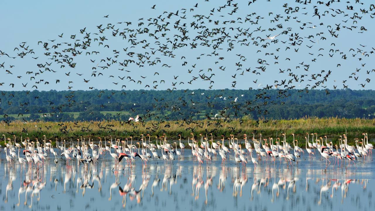 Espaço de Visitação e Observação de Aves (EVOA): três lagoas, 5 km de pista para caminhada e abrigos fotográficos