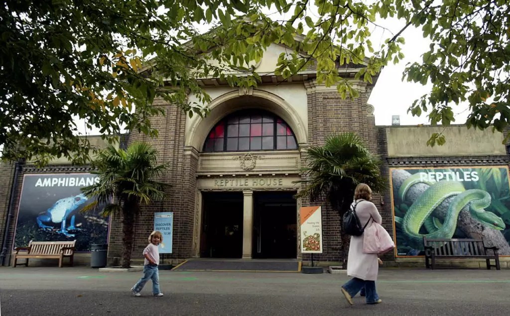 casa-de-répteis-zoológico-de-londres