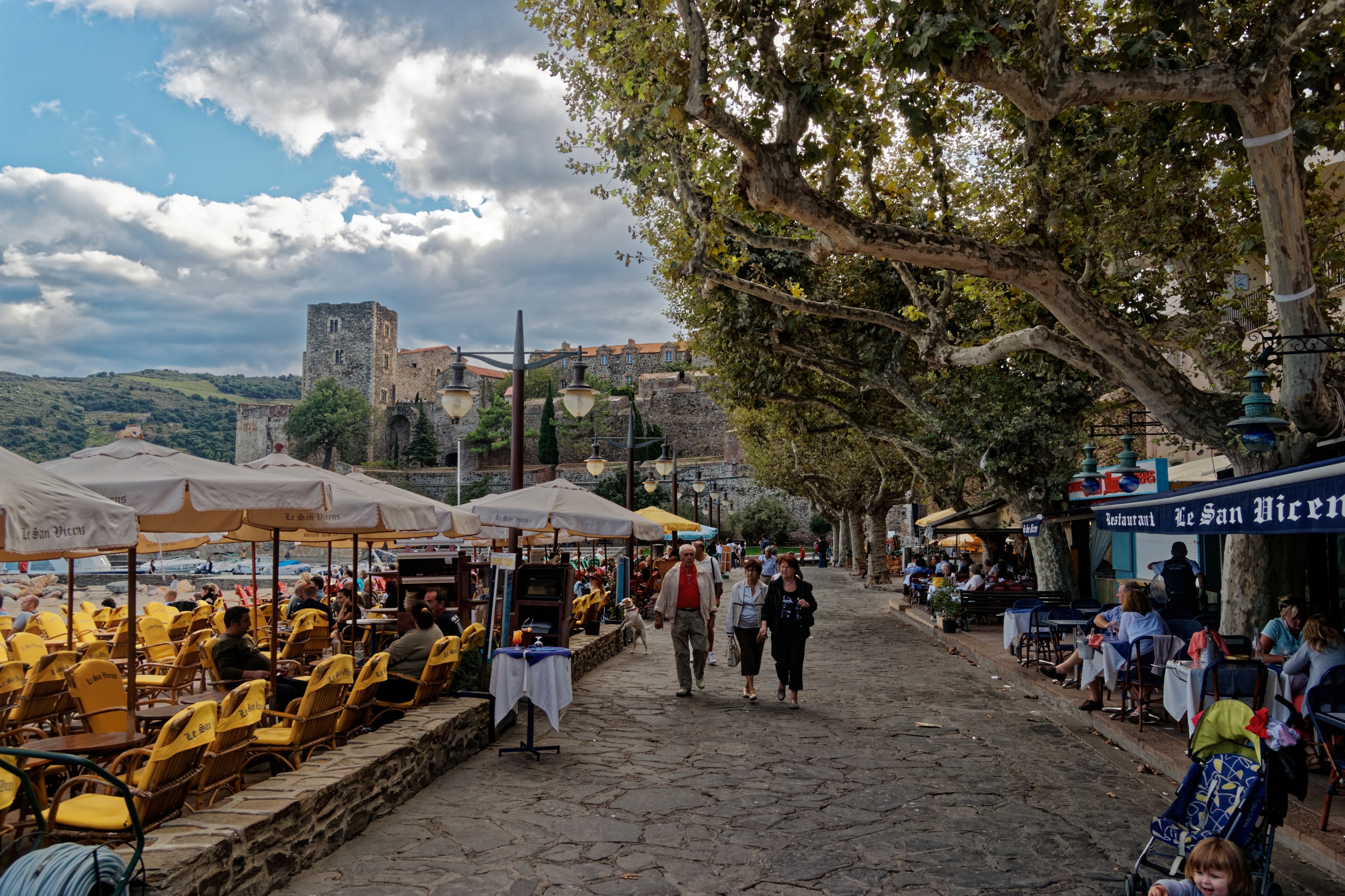 Collioure, Occitânia, França