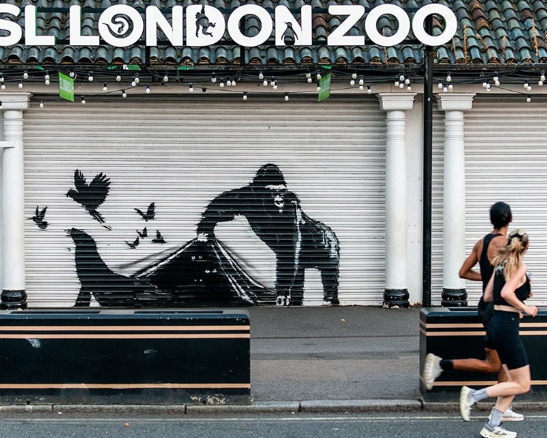 banksy-zoologico-gorila