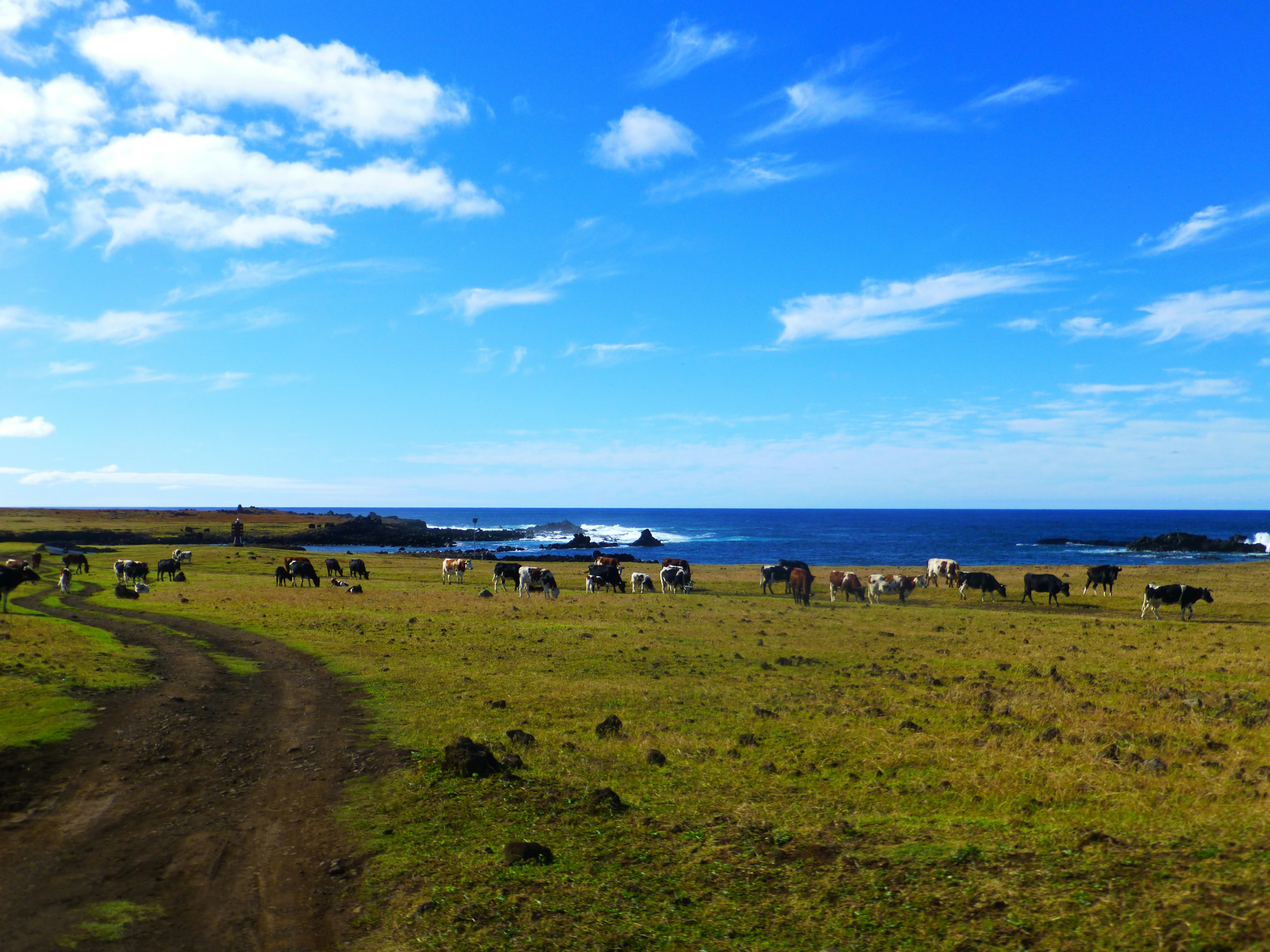 ilha de páscoa