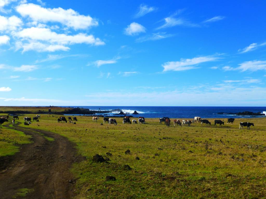 ilha-de-pascoa-mar