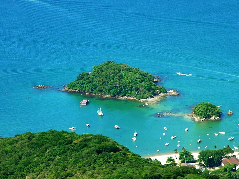 Pico do Papagaio da Ilha Grande