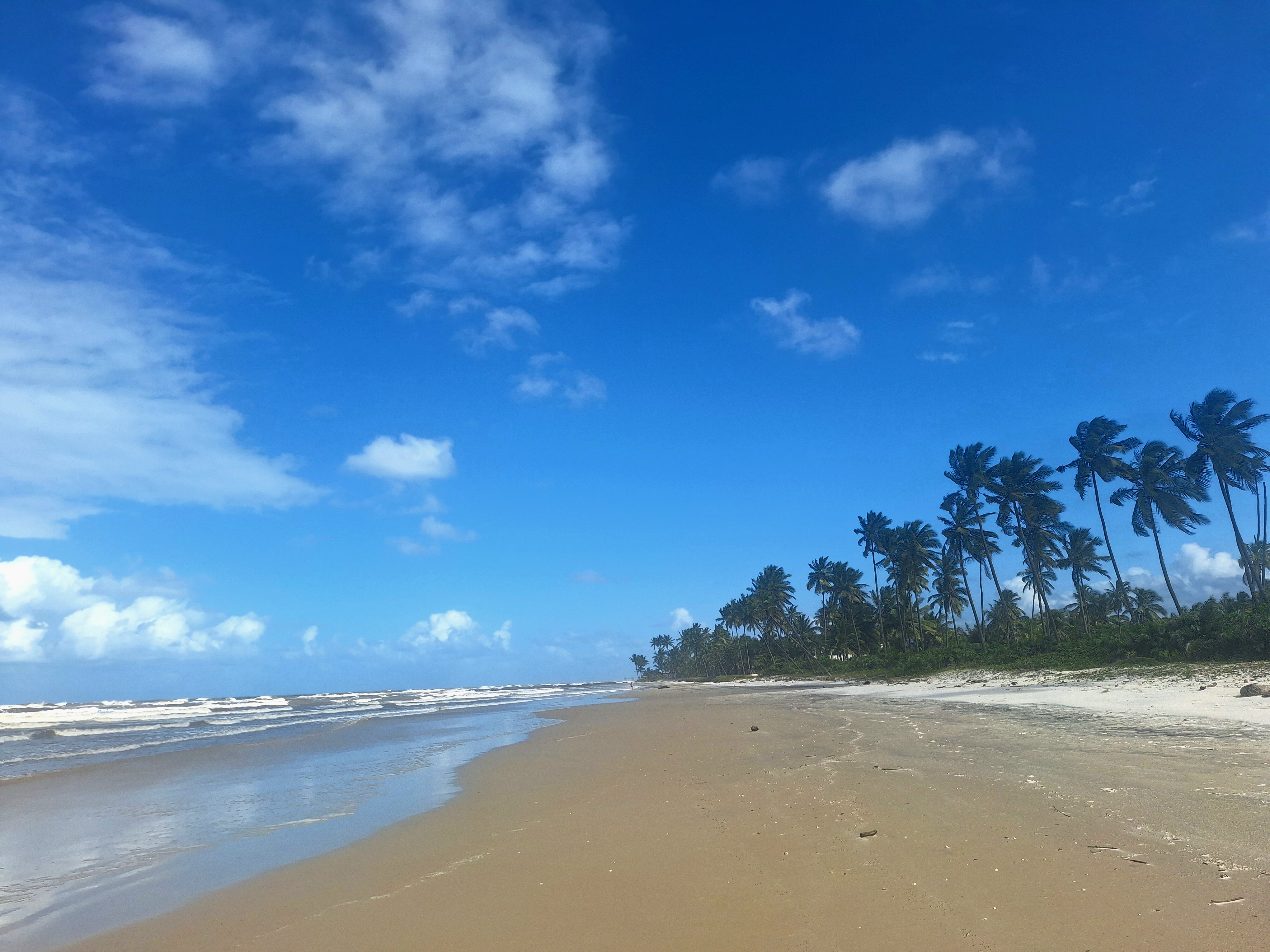 Praia de Cana Brava, Cana Brava All Inclusive Resort, Ilhéus, Bahia