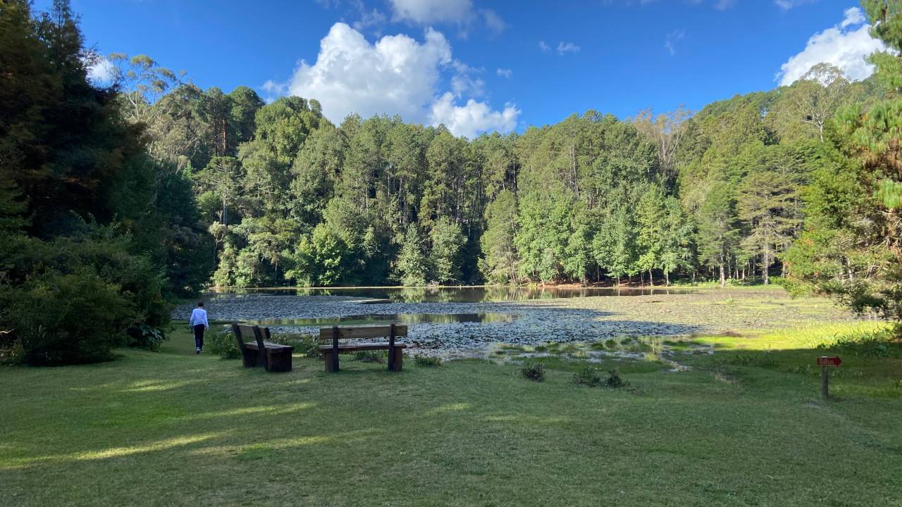 Parque Bambuí, Campos do Jordão, São Paulo