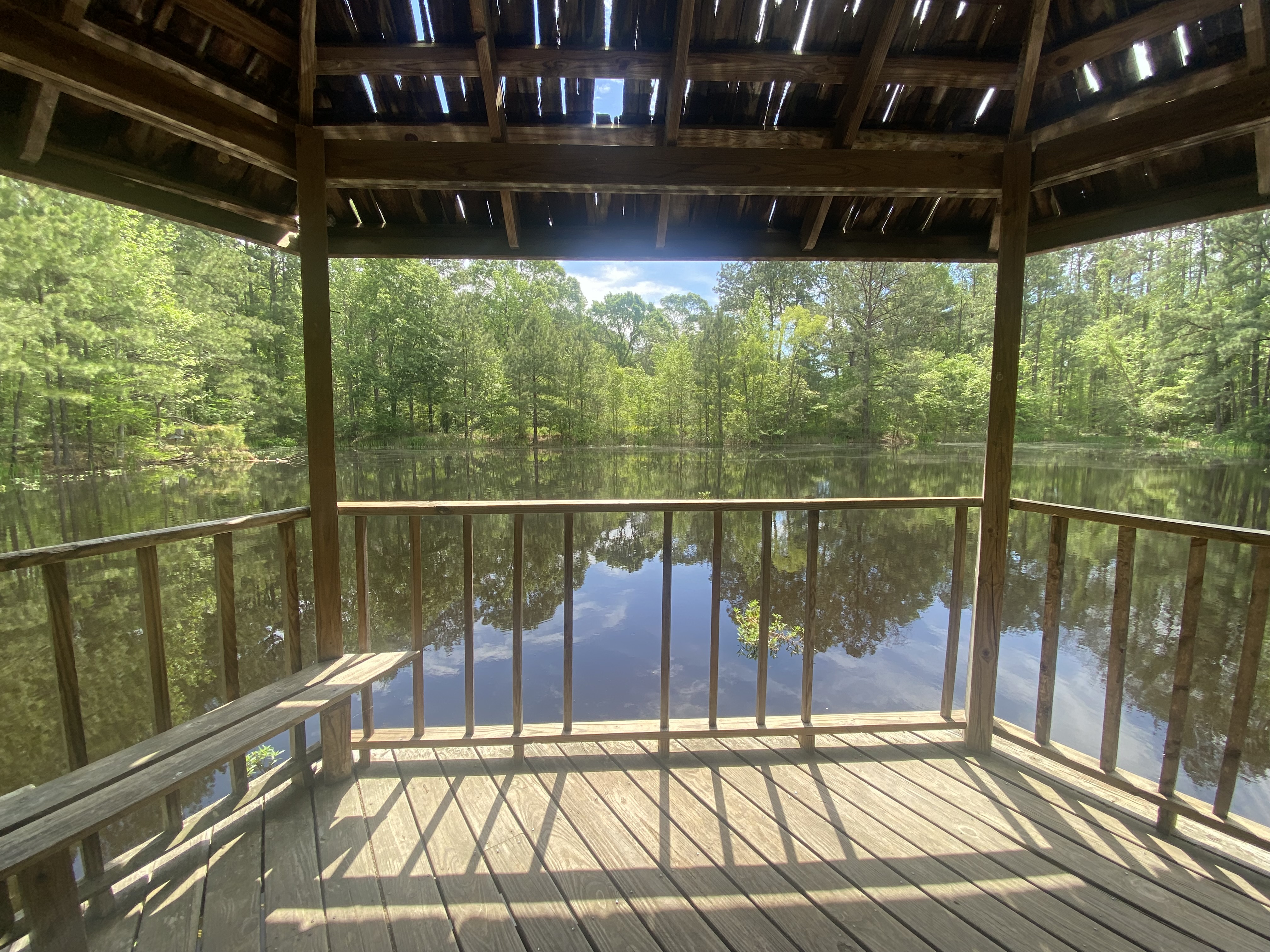 Mary Ann Brown Nature Preserve, St Francisville, Estados Unidos