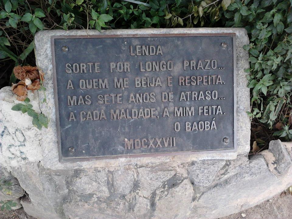 baoba-maria-gorda