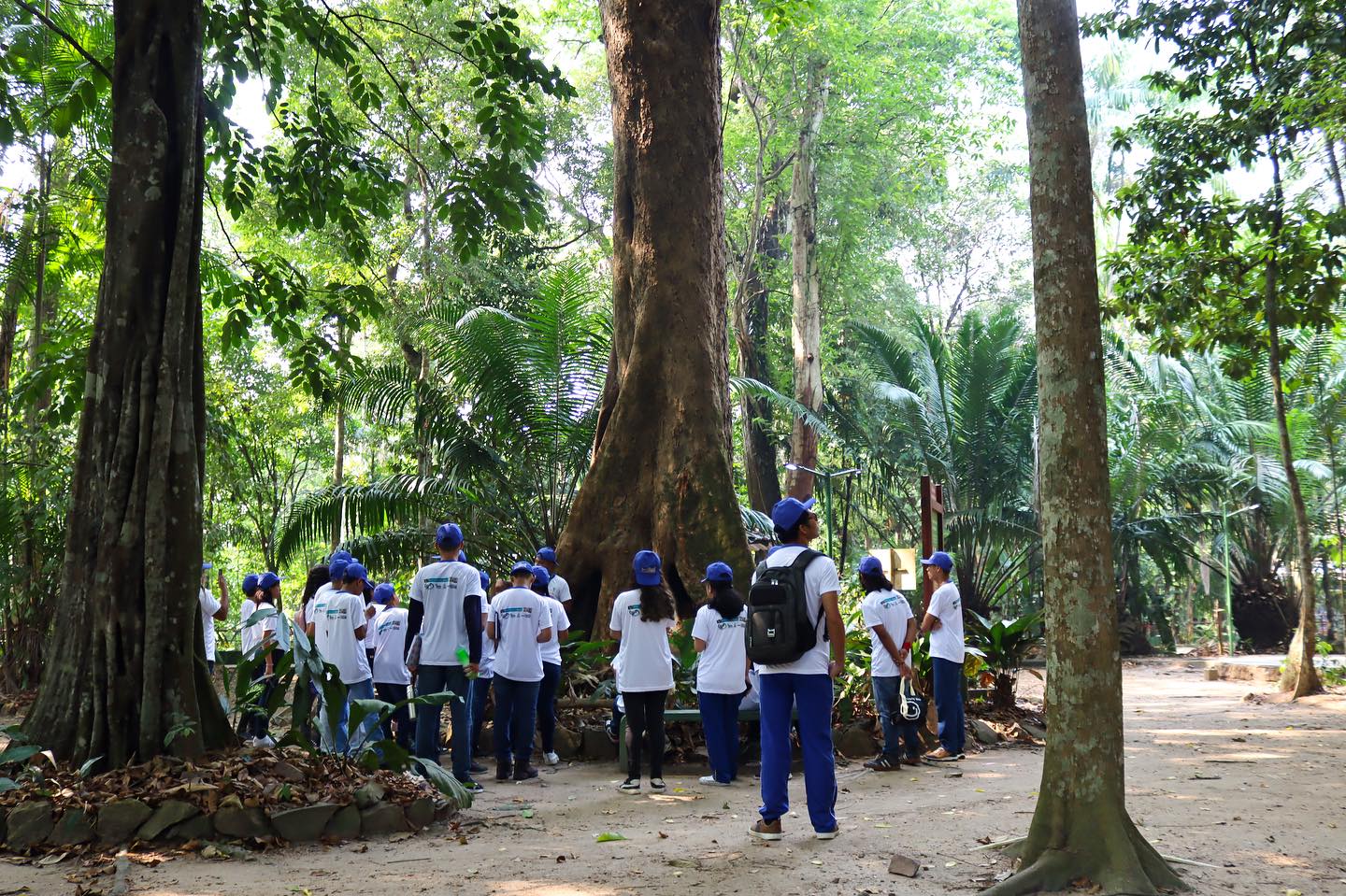 bosque-da-ciencia