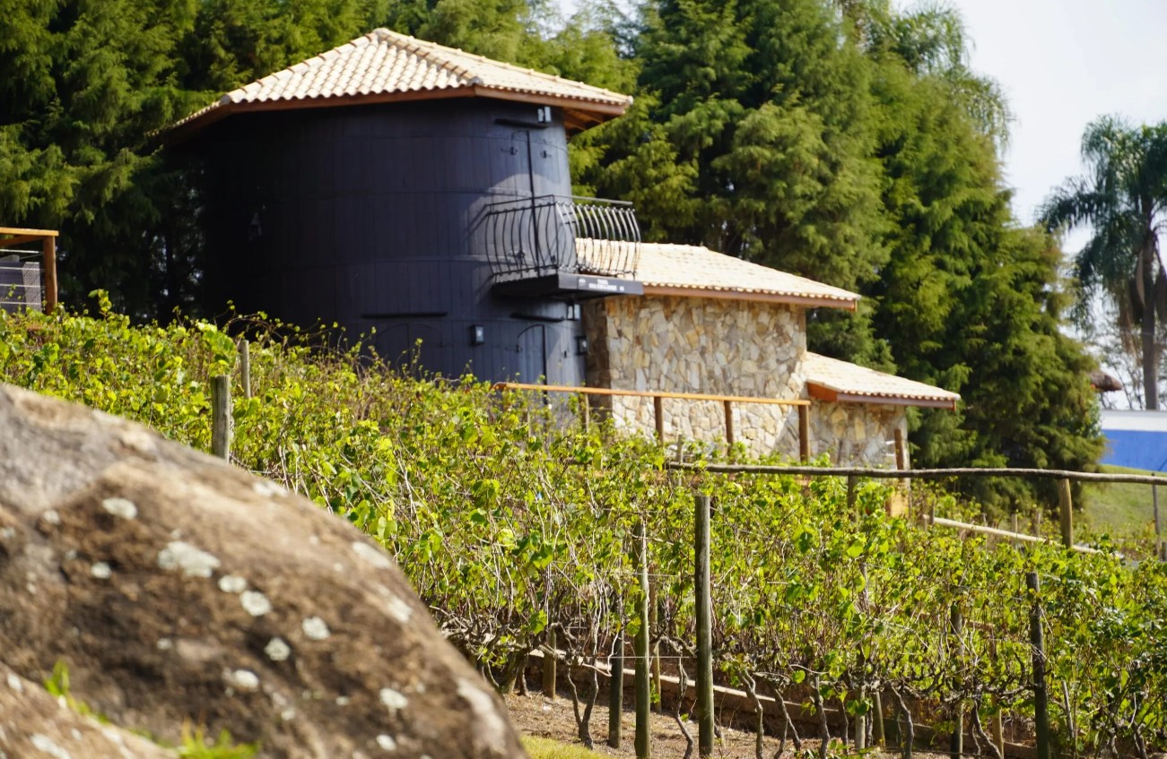 Quinta do Olivardo