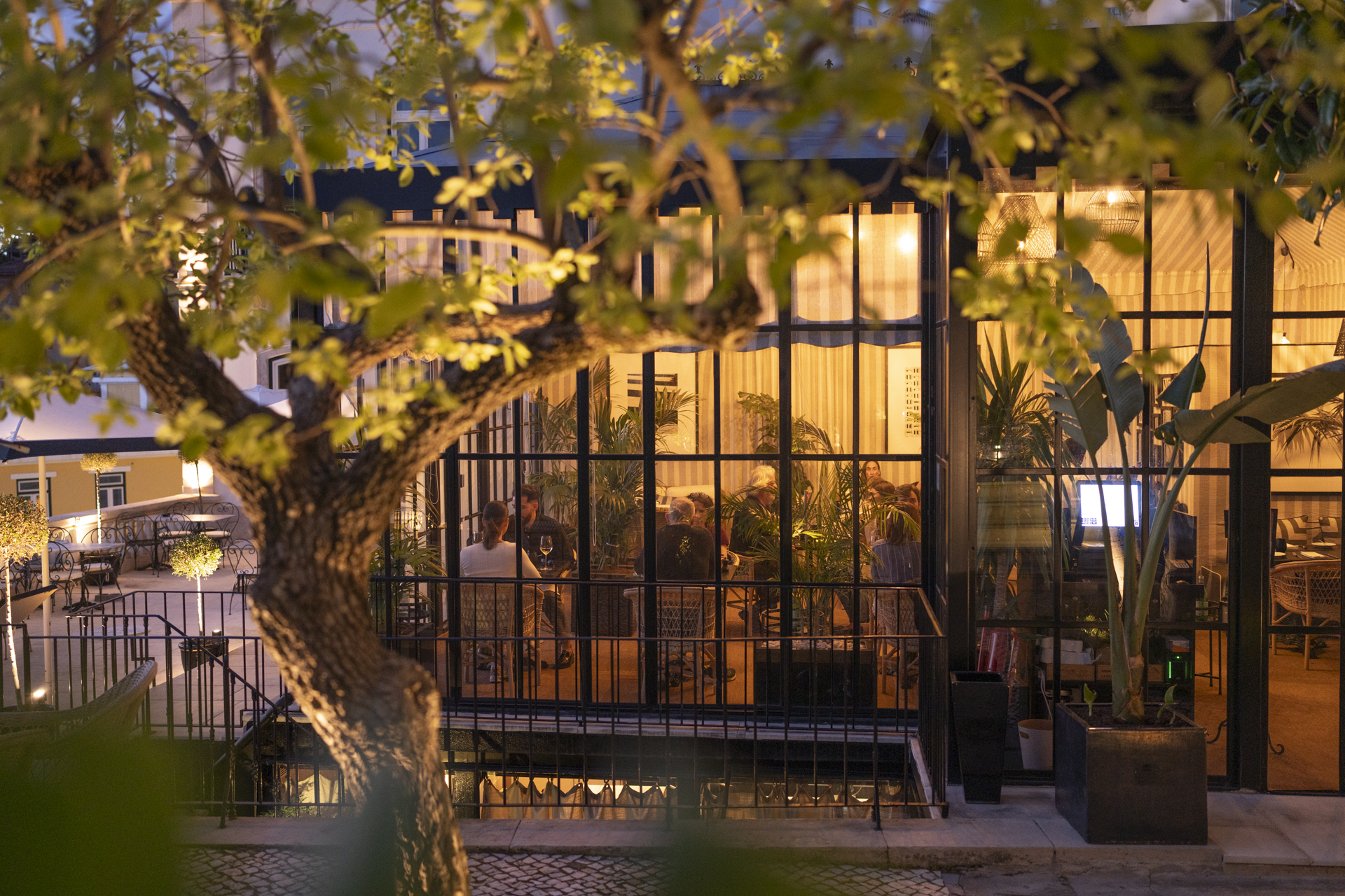 A imagem mostra o restaurante do hotel emoldurado por uma árvore do jardim, com fachada de vidro que deixa ver o interior com luzes acesas e mesas ocupadas ao anoitecer