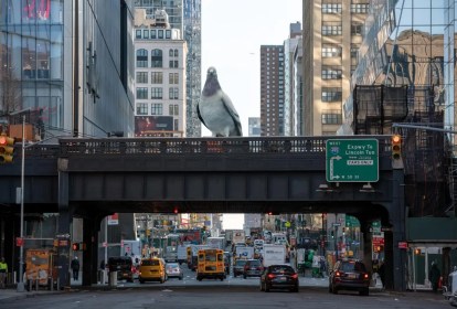 Escultura de pombo, Dinosaur, High Line, Nova York