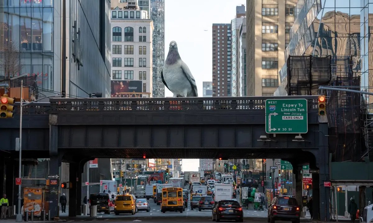 Escultura de pombo, Dinosaur, High Line, Nova York