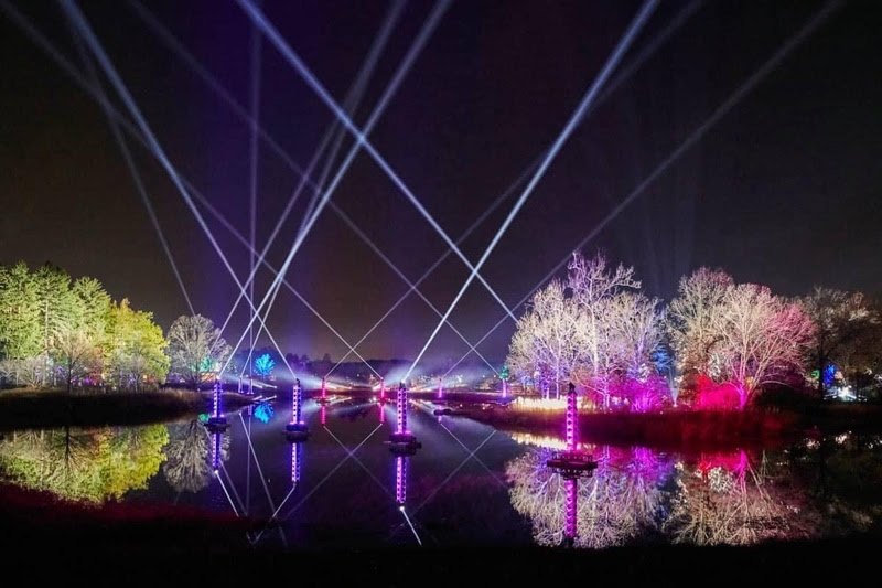 Illumination: Tree Lights at The Morton Arboretum, Chicago, Estados Unidos