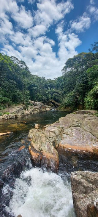 Cachoeira da Torre, Caminhos do Mar, São Paulo Cachoeira da Torre, Caminhos do Mar, São Paulo