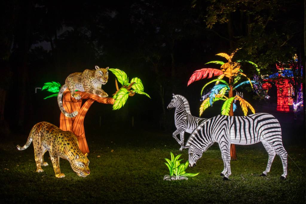 Lektrik, Jardim Botânico, São Paulo Lektrik, Jardim Botânico, São Paulo