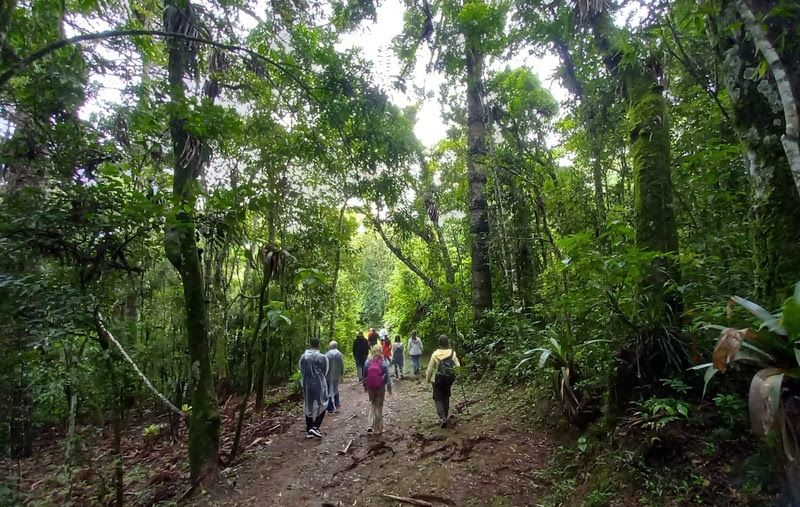 Praticas Integrativas Campos do Jordao Trilha no Parque das Cerejeiras, Campos do Jordão