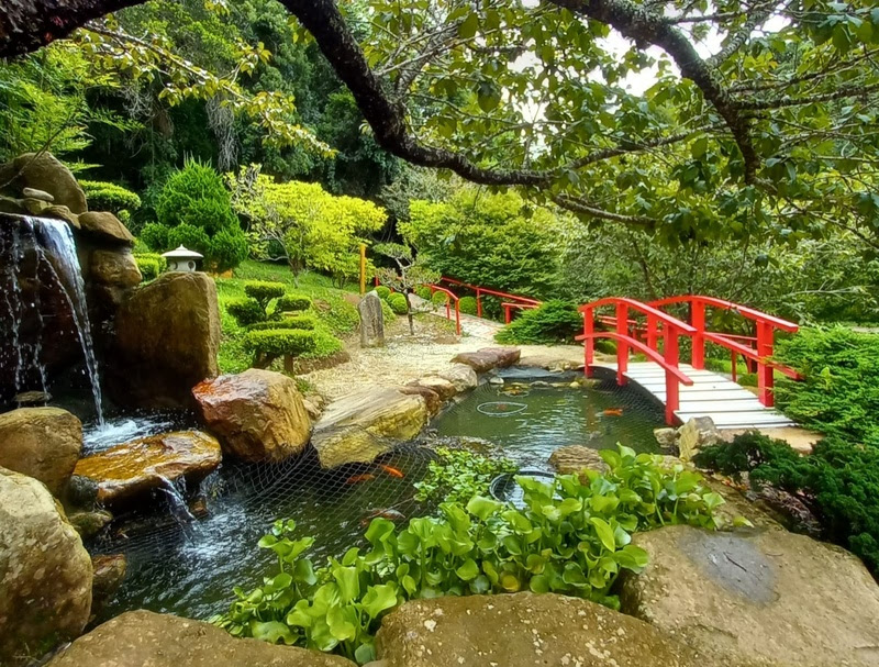 Parque da Cerejeira, Campos do Jordão