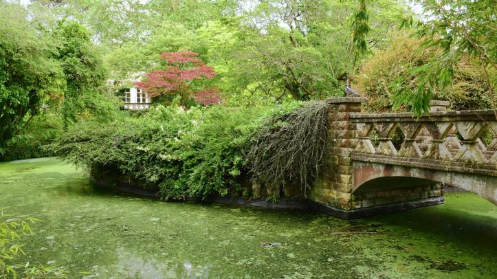 Bath Botanical Gardens Bath Botanical Gardens