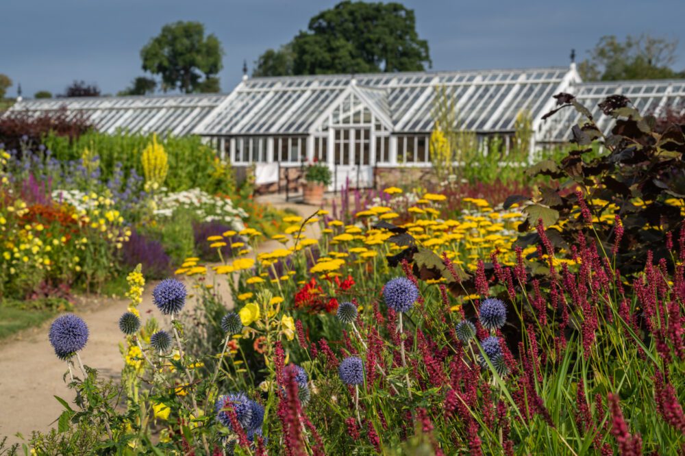 Helmsley Walled Garden Vista de uma estufa de Helmsley Walled Garden