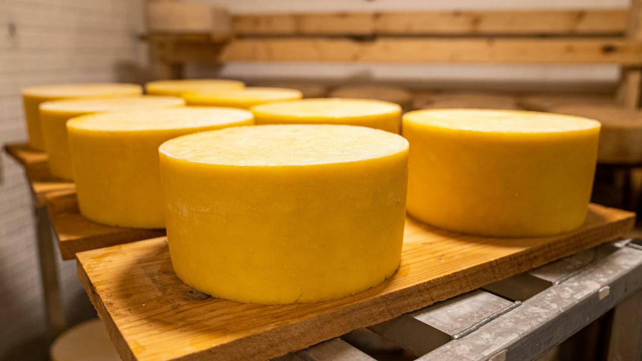 Produção de queijo