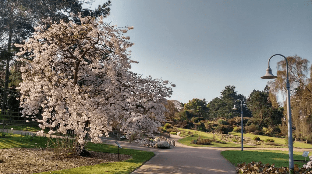 Royal Botanic Garden em Edimburgo