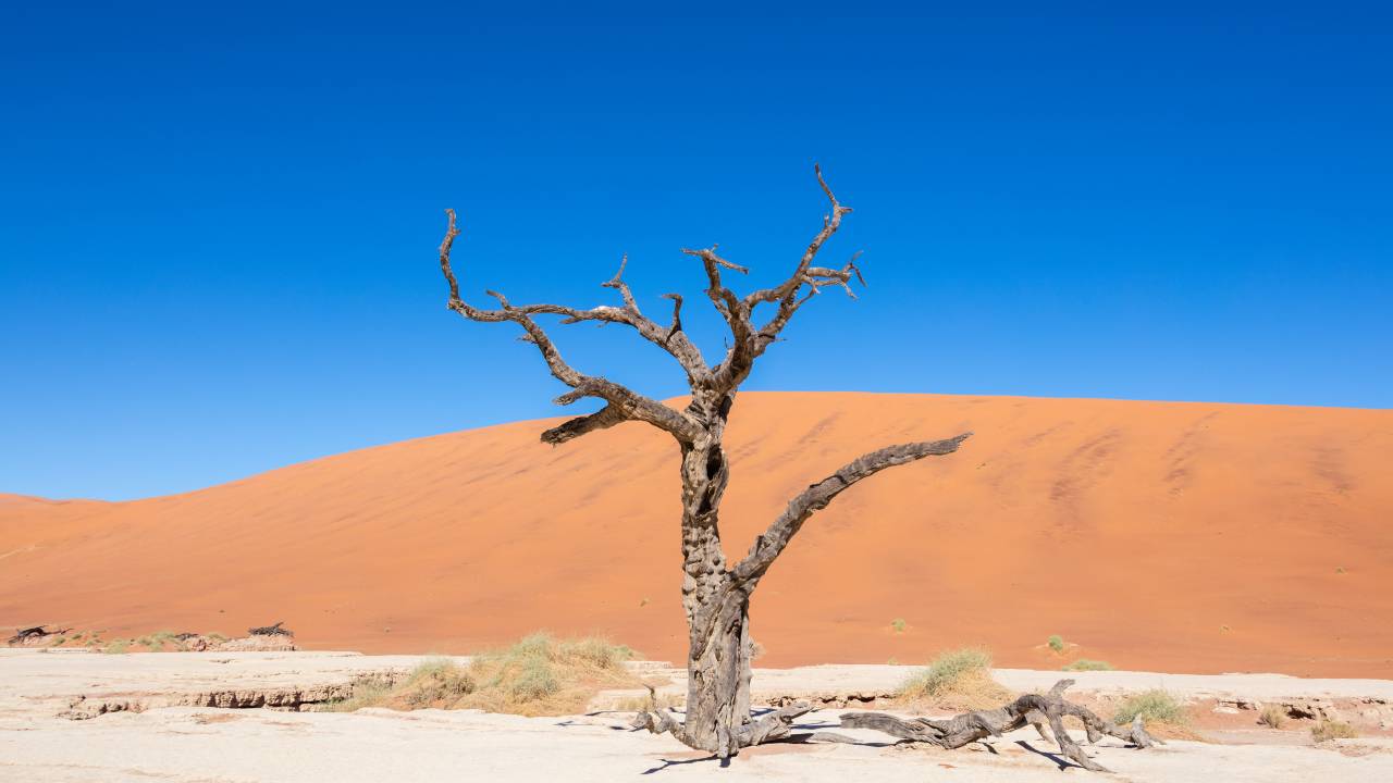 deadvlei-sossusvlei-namibia