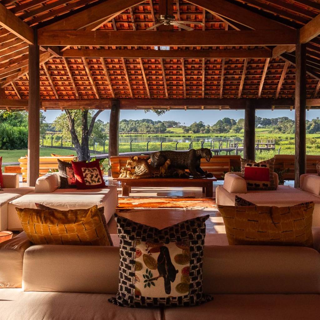 Caiman2 Caiman Pantanal