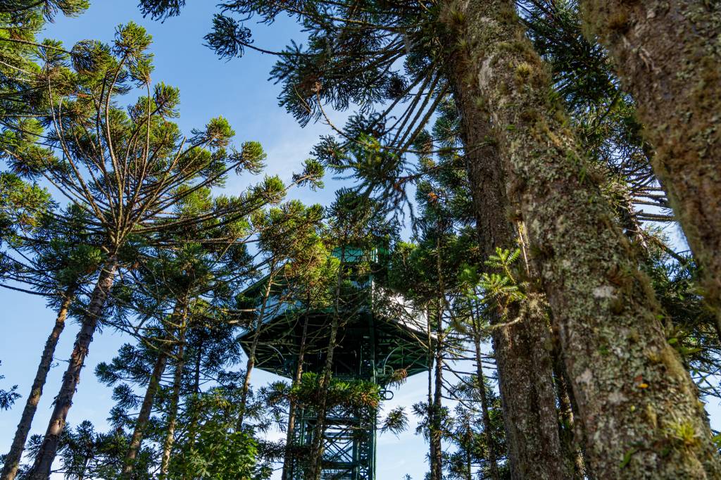 Observatorio-Panoramico—Creditos-Parque-do-Caracol Observatório Panorâmico do Caracol será inaugurado no dia 24 de maio