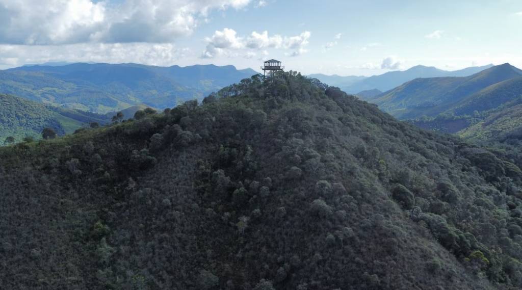 torre-florestal-de-longe torre-florestal-de-longe