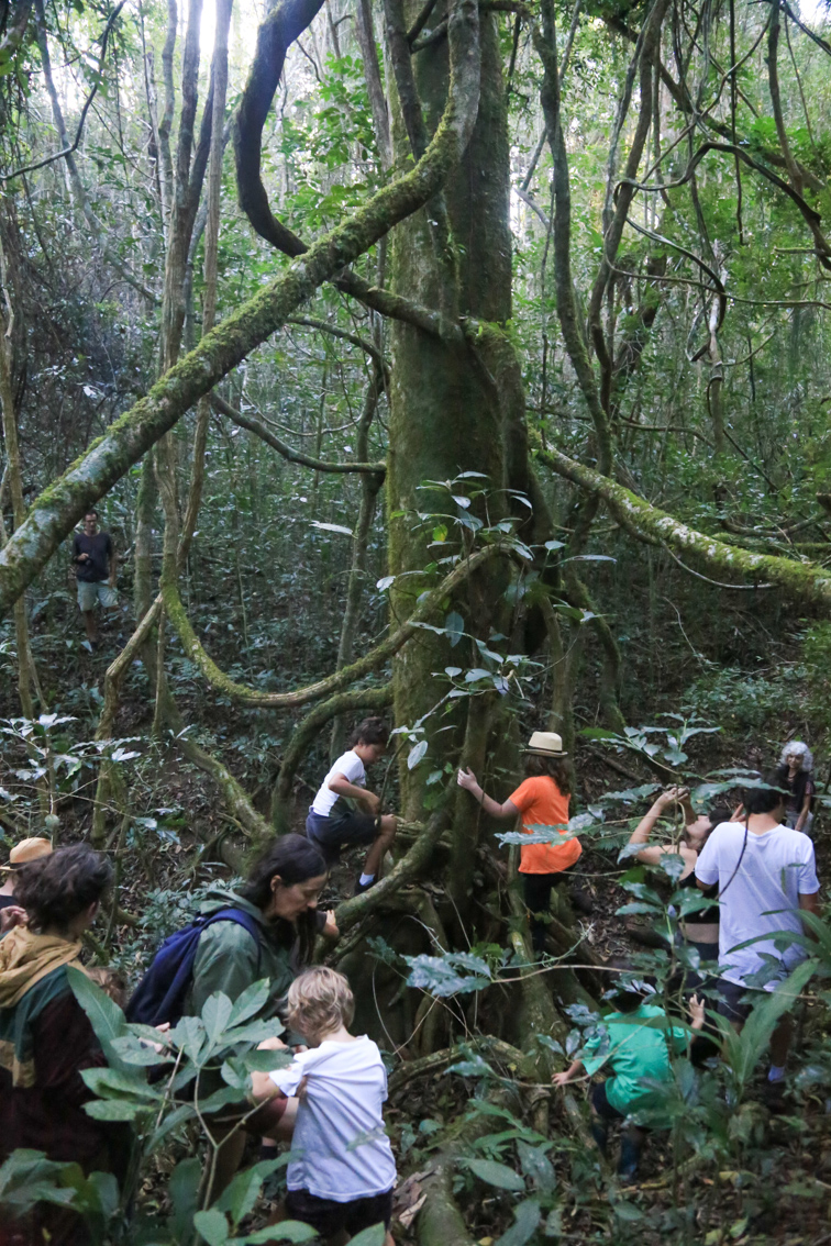 Fazenda Serrinha Crianças exploram a floresta em atividades que envolvem movimento, curiosidade e contato direto com o ambiente