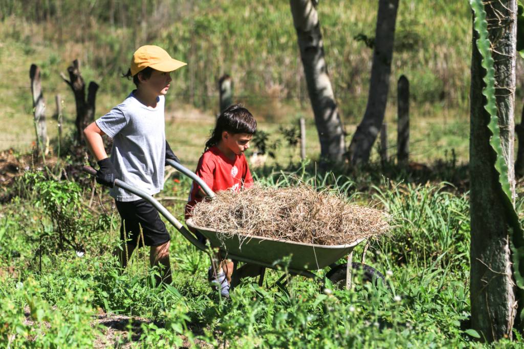 fazenda serrinha Na Fazenda Serrinha, o aprendizado acontece com os pés no chão e as mãos na terra