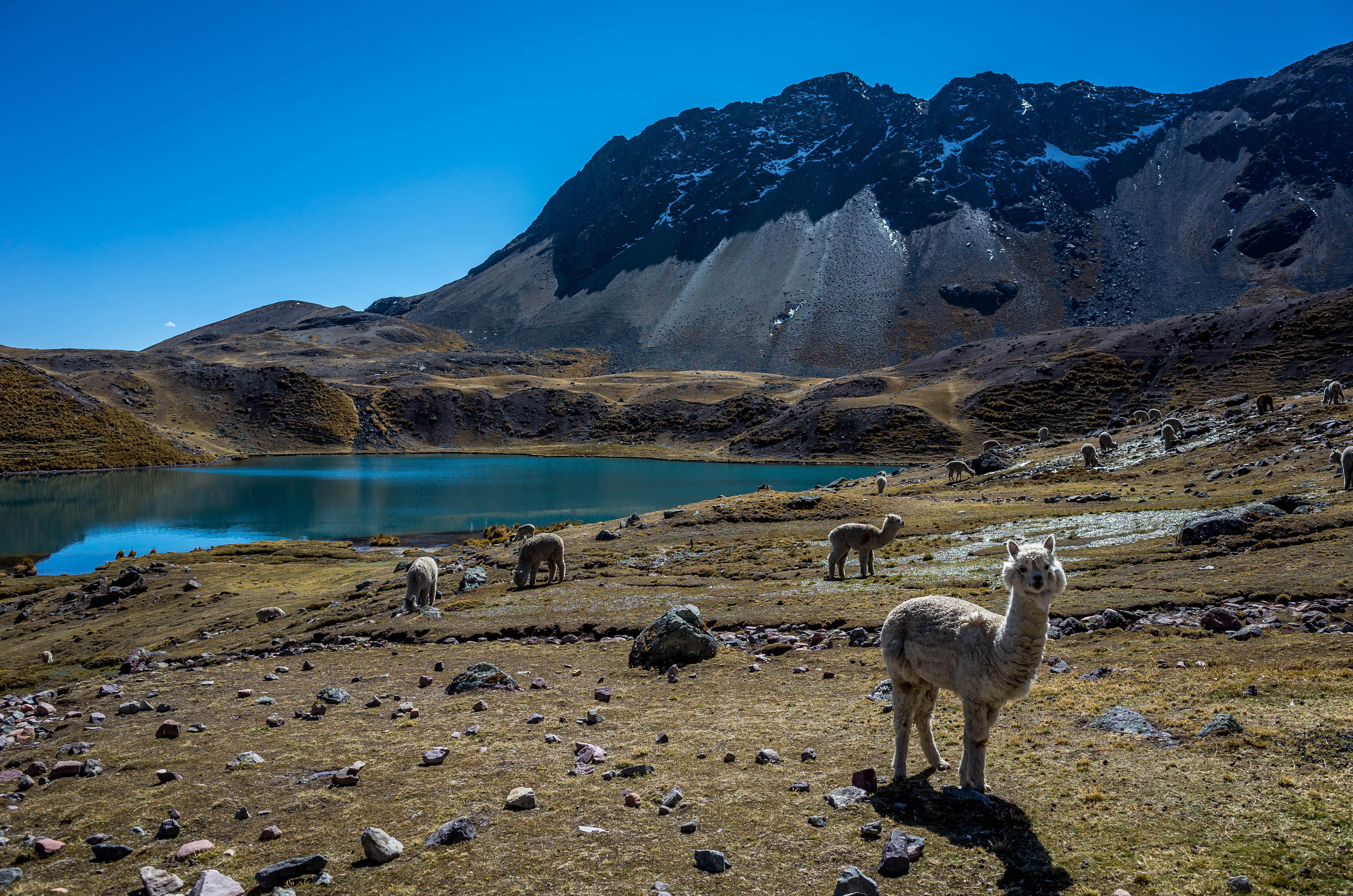 ausangate-peru