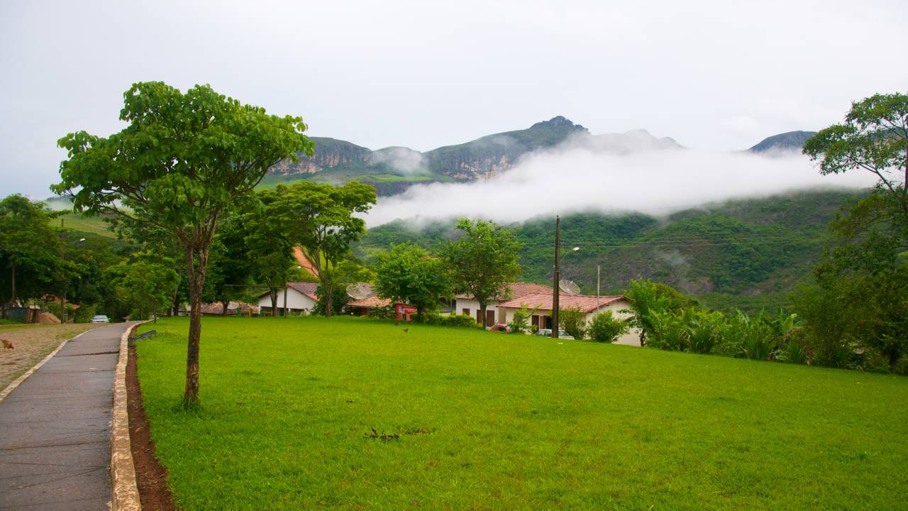 cabeca-de-boi