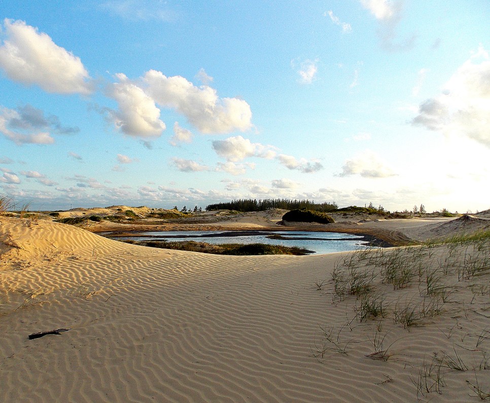 dunas-araca-ilha-comprida dunas-araca-ilha-comprida